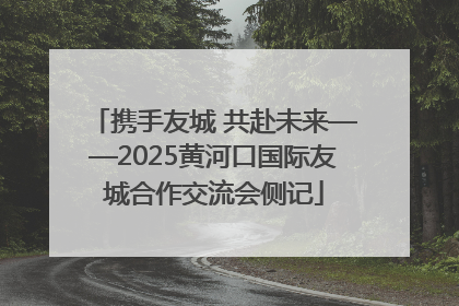 携手友城 共赴未来——2025黄河口国际友城合作交流会侧记